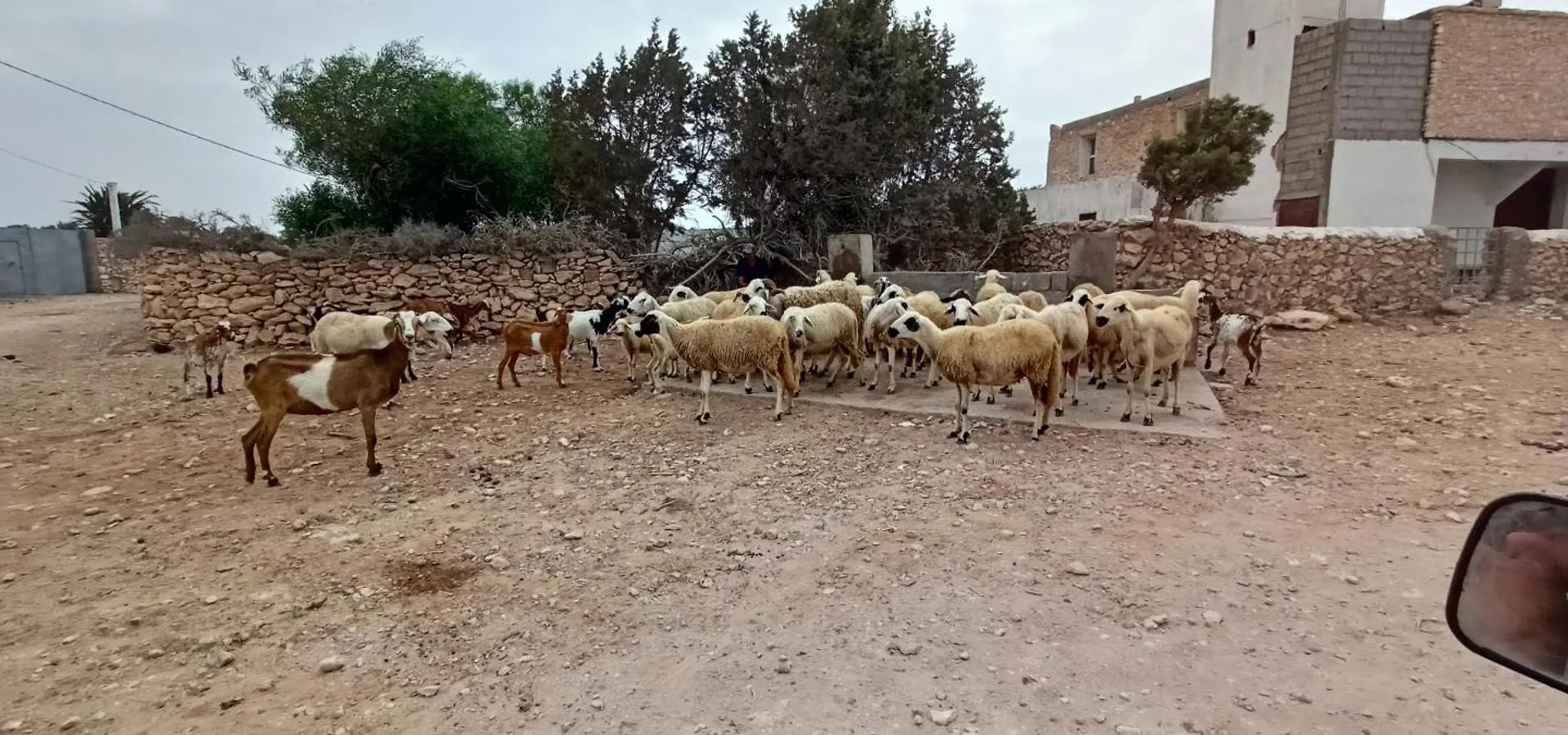 Villa M Birika Essaouira Marocko